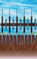 Slit Seeding: Panel 1