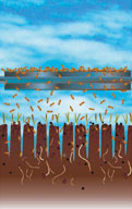 Slit Seeding: Panel 2